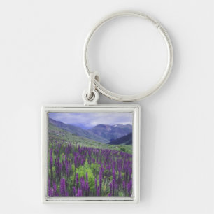 Berge und Wildblumen auf Almwiese, 2 Schlüsselanhänger