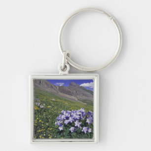 Berge und Wildblumen auf Almwiese, Blau Schlüsselanhänger