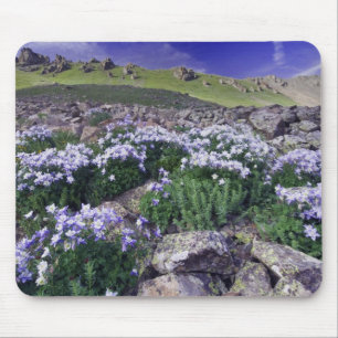 Berge und Wildblumen auf Almwiese, Mousepad