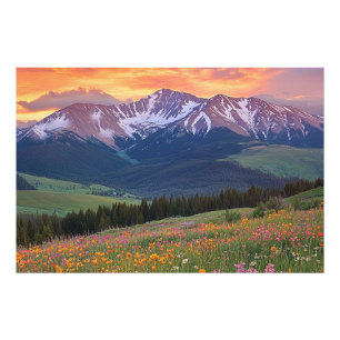 Berge und Wildblumen Druck Colorado