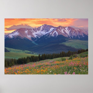 Berge und Wildblumen Druckfarben Poster