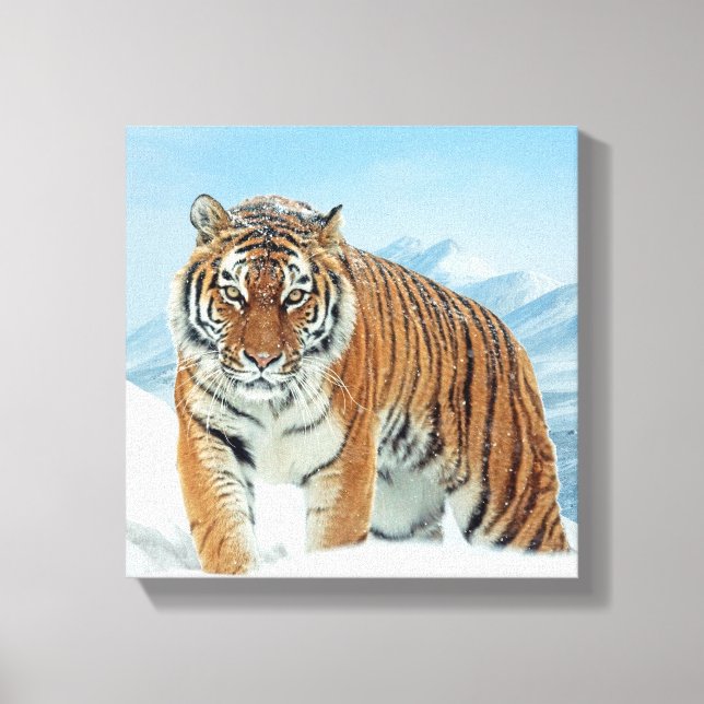 Berge Winterschnee Natur Foto Tiger Leinwand (Vorderseite)