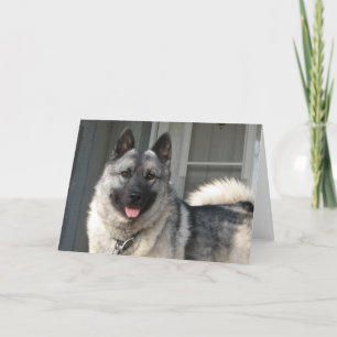 Bergenlächeln Karte