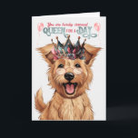 Berger Picard Dog Queen for Day Funny Birthday Karte<br><div class="desc">Dieser bezaubernde und glückliche Berger Picard ist bereit,  mit ihrer Picardie-Hundemutter zum Geburtstag ein wenig Spaß und Spaß zu teilen.</div>