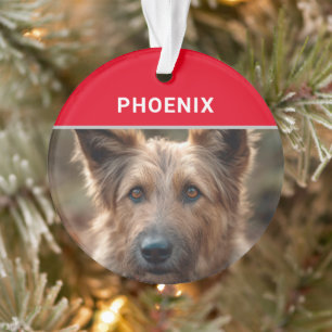 Berger Picard Dogs Name und Foto Weihnachten Ornament
