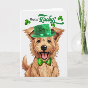 Berger Picard Hund Glücklicher St. Patrick's Day Feiertagskarte