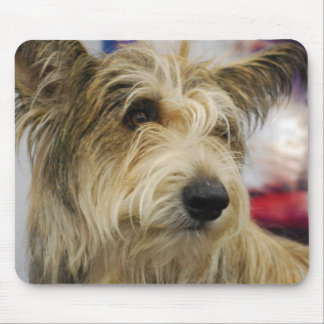 Berger Picard Hundemausunterlage Mousepad