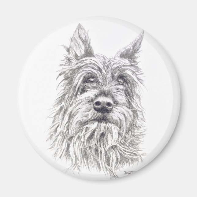 Berger Picard Magnet (Vorne)