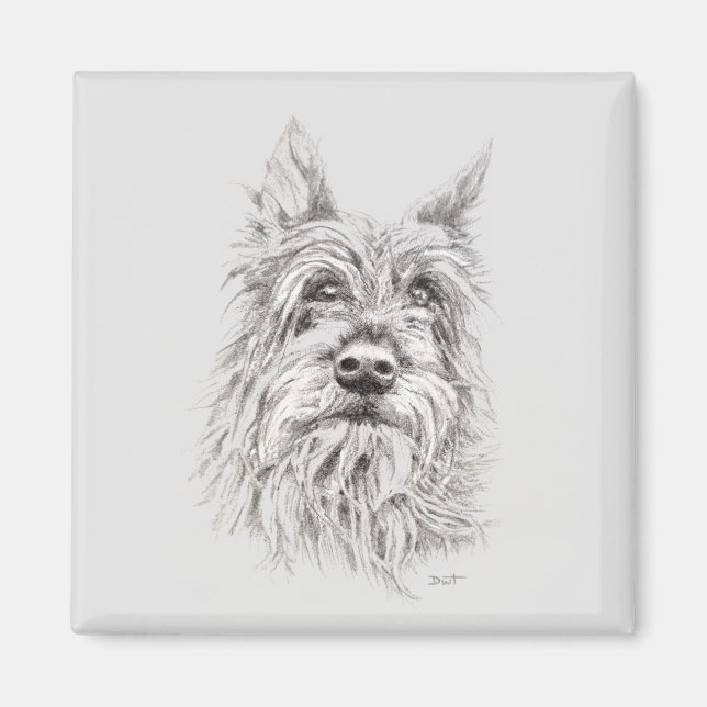 Berger Picard Magnet (Vorne)