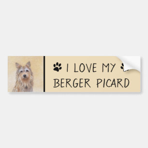 Berger Picard Malerei - Niedliche Original Hunde K Autoaufkleber