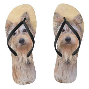 Berger Picard Malerei - Niedliche Original Hunde K Flip Flops