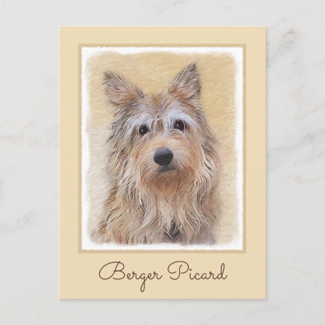 Berger Picard Malerei - Niedliche Original Hunde K Postkarte (Vorderseite)