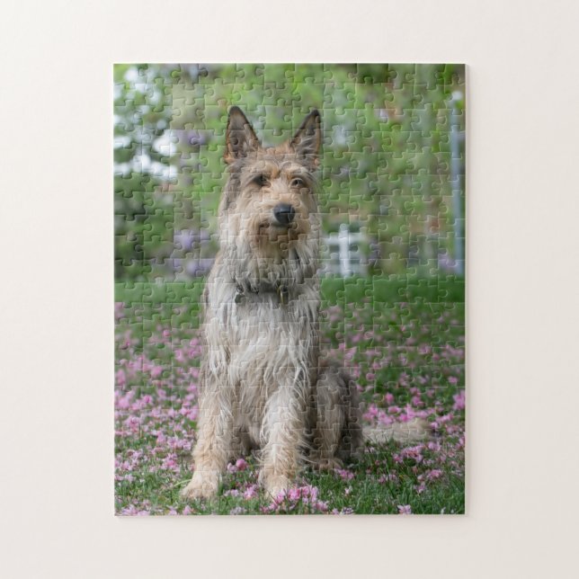 Berger Picard Puzzle (Vertikal)