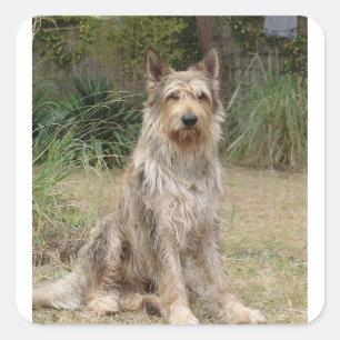 Berger_Picard Sitzung 2 Quadratischer Aufkleber