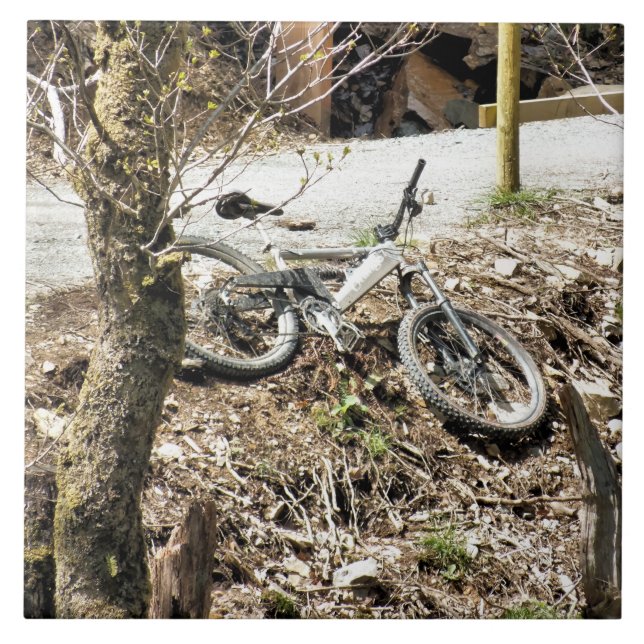 BERGFAHREN FLIESE (Vorderseite)