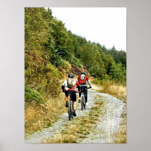 BERGFAHREN POSTER