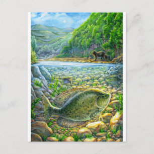 Bergflussfisch Postkarte