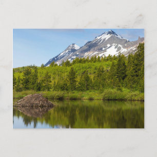 Berggipfel spiegeln sich in einem Biberteich Postkarte
