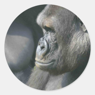 Berggorilla-Aufkleber Runder Aufkleber