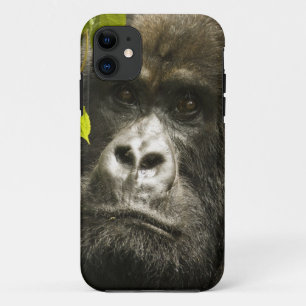 Berggorilla, Gorilla beringei beringei, Case-Mate iPhone Hülle