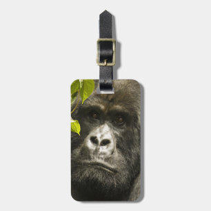 Berggorilla, Gorilla beringei beringei, Gepäckanhänger