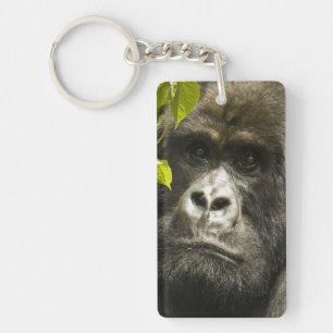 Berggorilla, Gorilla beringei beringei, Schlüsselanhänger