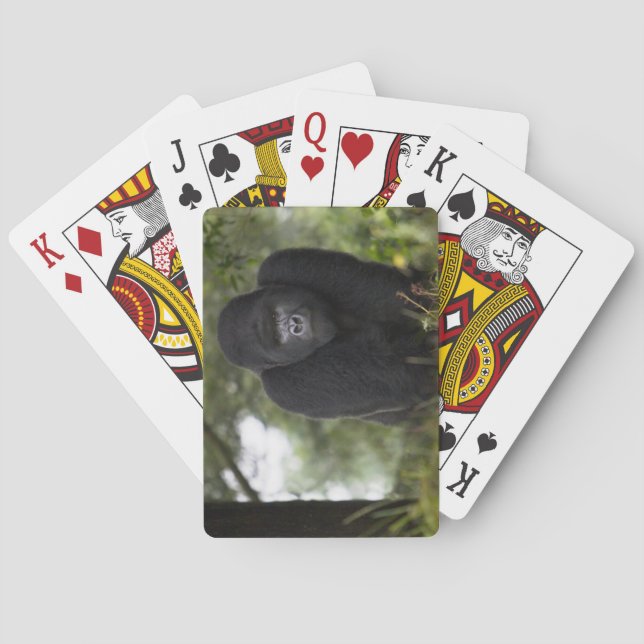 Berggorilla und Silverback 3 Spielkarten (Rückseite)