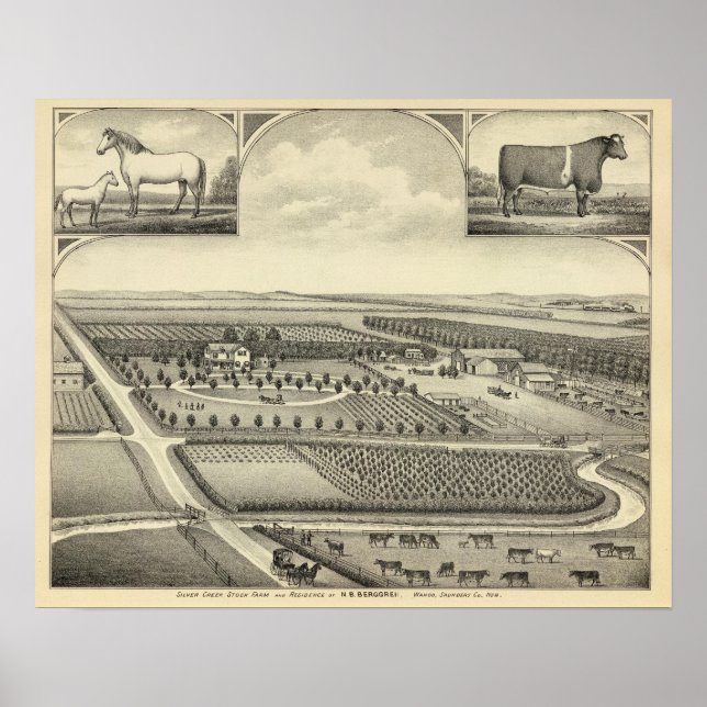 Berggren Farm, Nebraska Poster (Vorne)