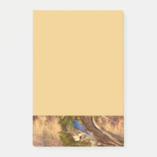 Berghüttensänger in Arches National Park Post-it Klebezettel