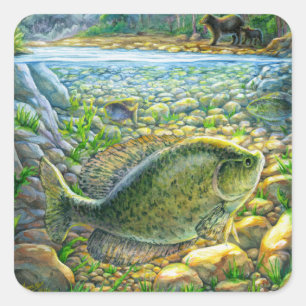 Berglandfisch Quadratischer Aufkleber