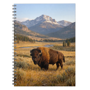 Berglandschaft Amerikanischer Bison Notizblock