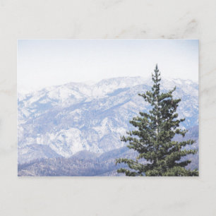 Berglandschaft mit Kiefer   Postkarte
