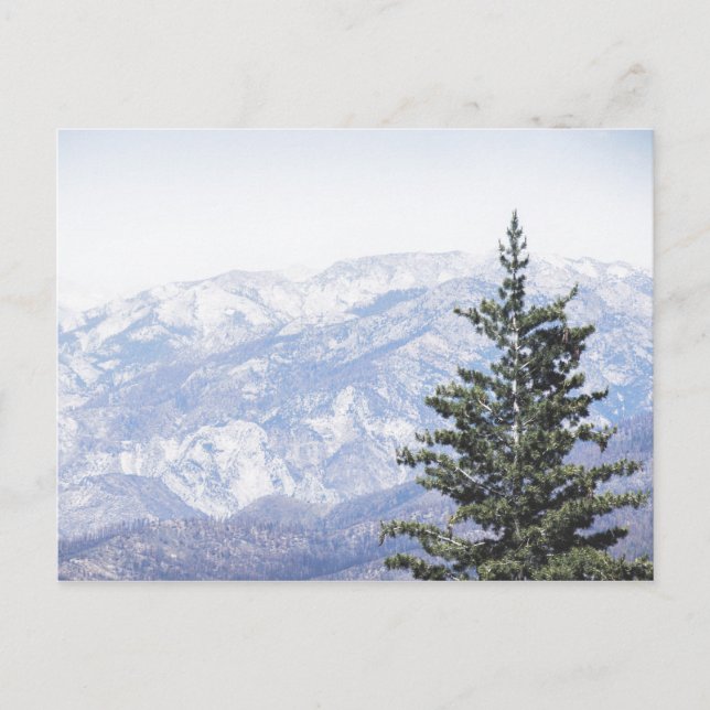Berglandschaft mit Kiefer | Postkarte (Vorderseite)