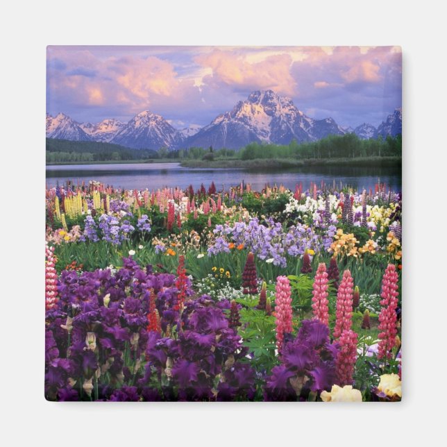 Berglandwild Blume Magnet (Vorne)