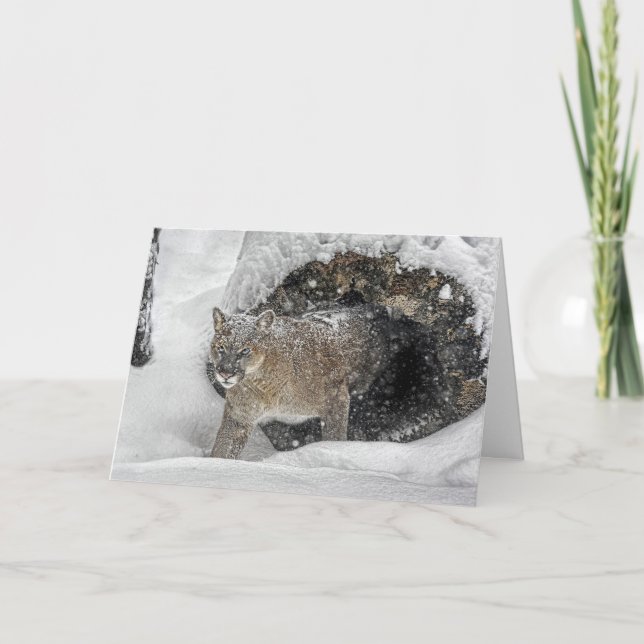 Berglöwe-Feiertags-Karte Feiertagskarte (Vorderseite)