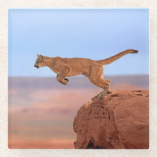 Berglöwe Glasuntersetzer