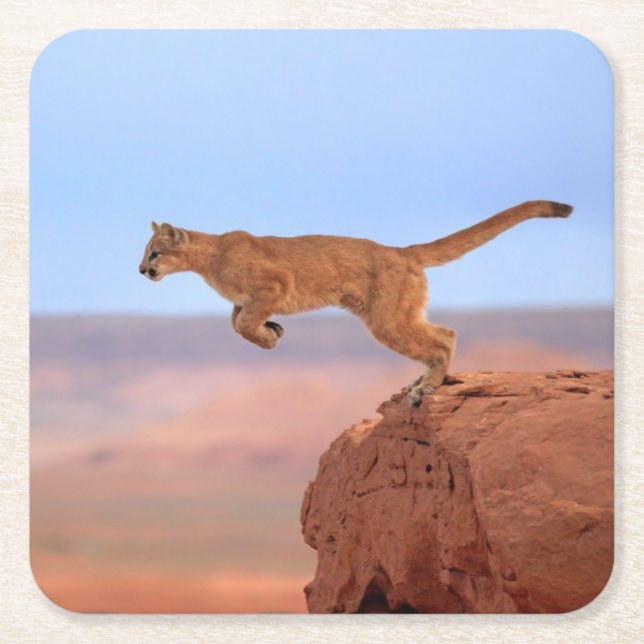 Berglöwe Rechteckiger Pappuntersetzer (Vorderseite)