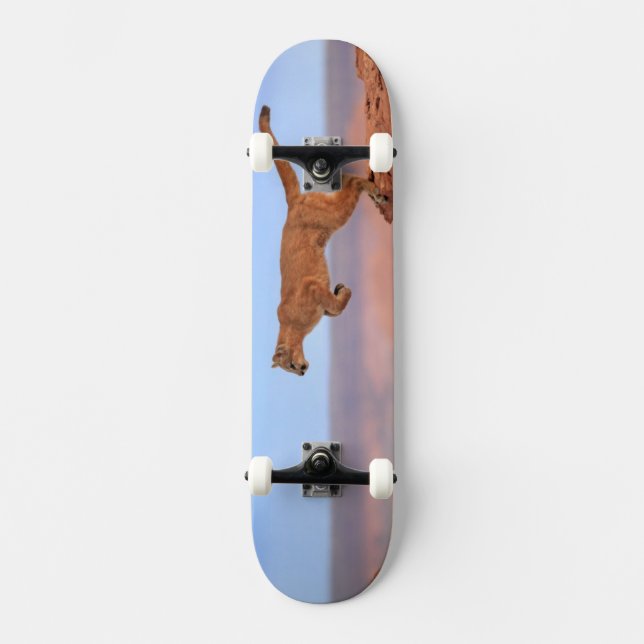 Berglöwe Skateboard (Vorderseite)