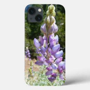 Berglupine bei Yosemite Case-Mate iPhone Hülle