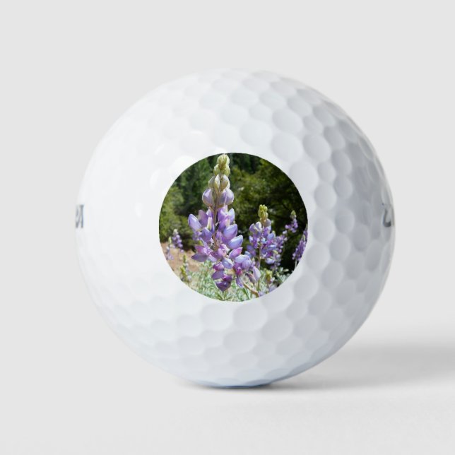 Berglupine bei Yosemite Golfball (Vorderseite)