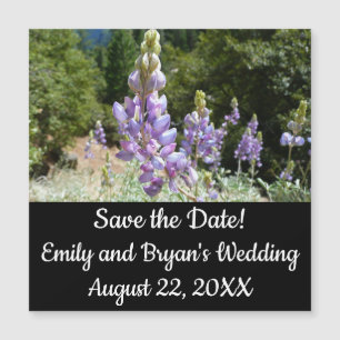 Berglupine bei Yosemite Magnetkarte