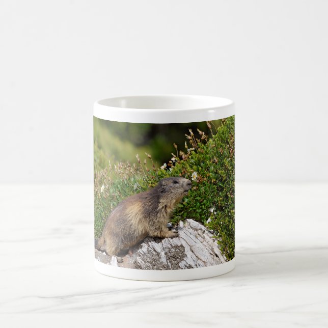 Bergmarmot Kaffeetasse (Mittel)