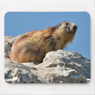 Bergmarmot Mousepad
