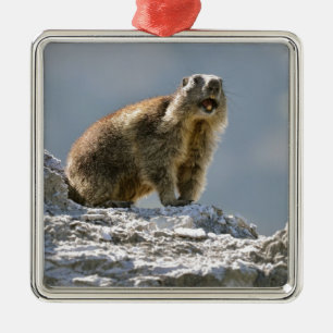 Bergmarmot Ornament Aus Metall