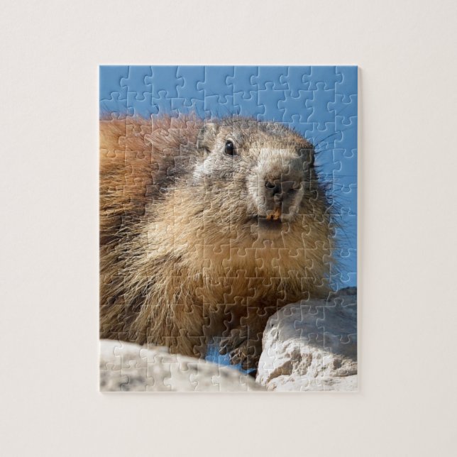 Bergmarmot Puzzle (Vertikal)