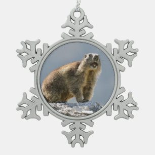 Bergmarmot Schneeflocken Zinn-Ornament