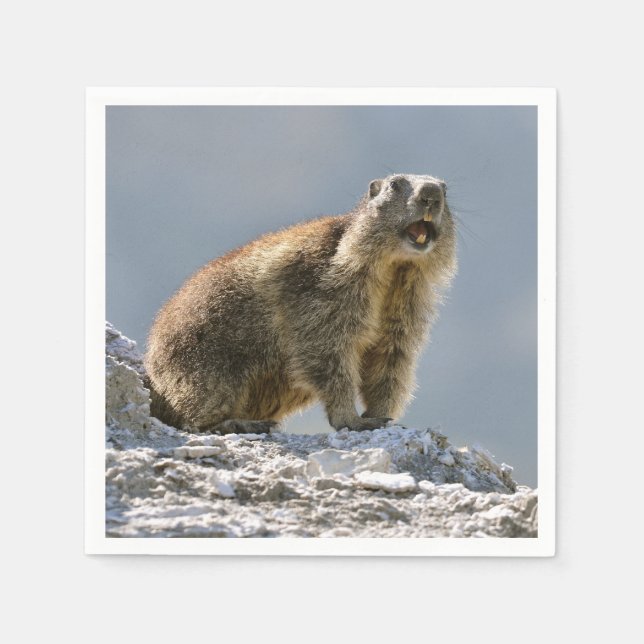 Bergmarmot Serviette (Vorderseite)