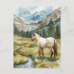 Bergpferd Postkarte