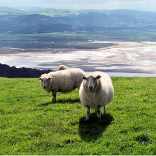 BERGSCHAFT LEINWANDDRUCK