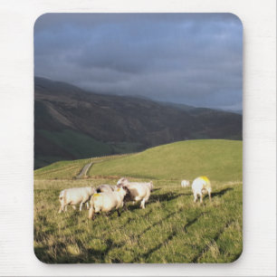 BERGSCHAFT MOUSEPAD